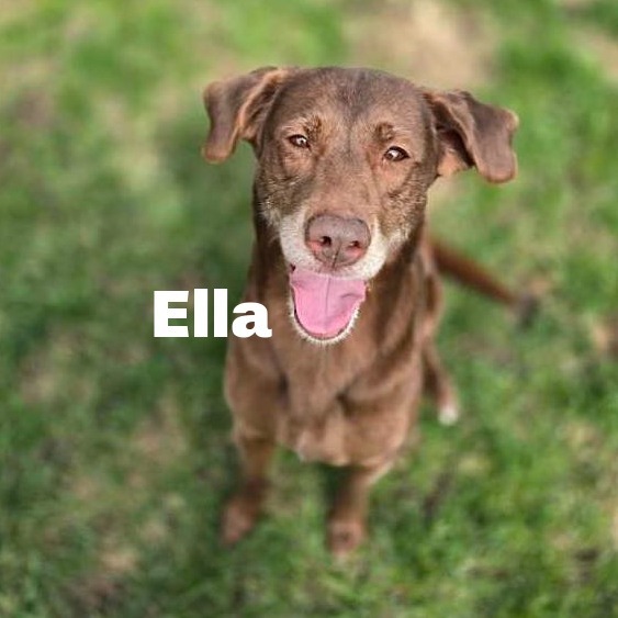 Ella 250296