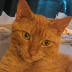 Winking Wilamena