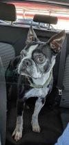 Miles photo 2