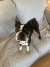 Miles photo 3