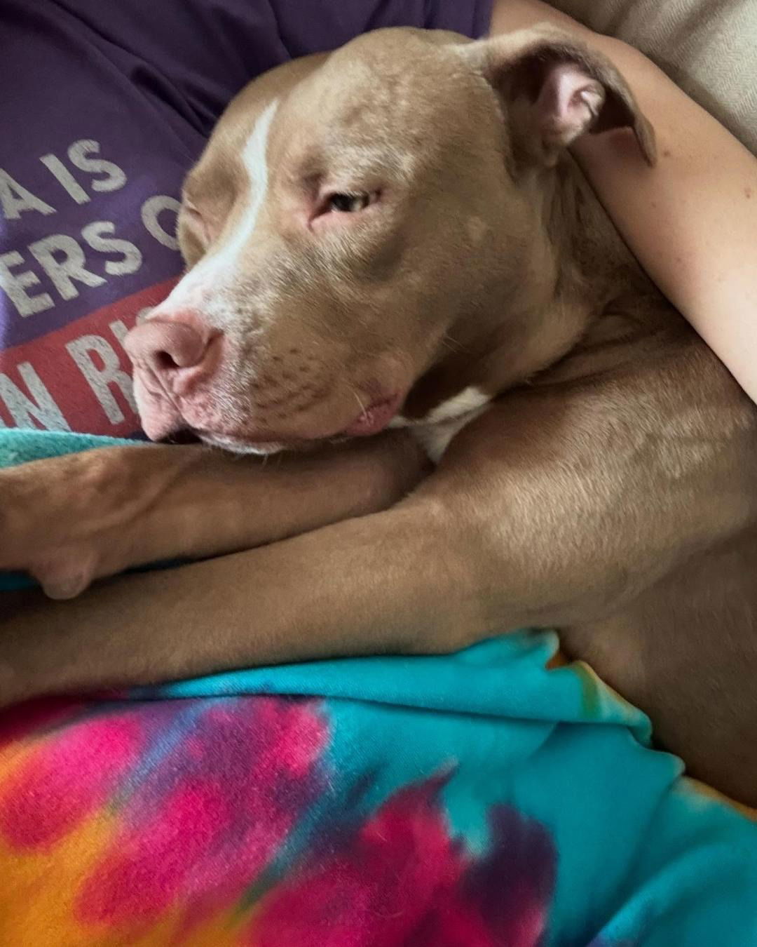 Murphy