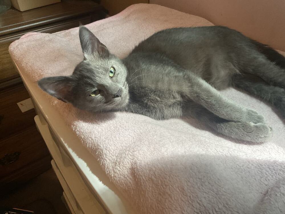Zeus