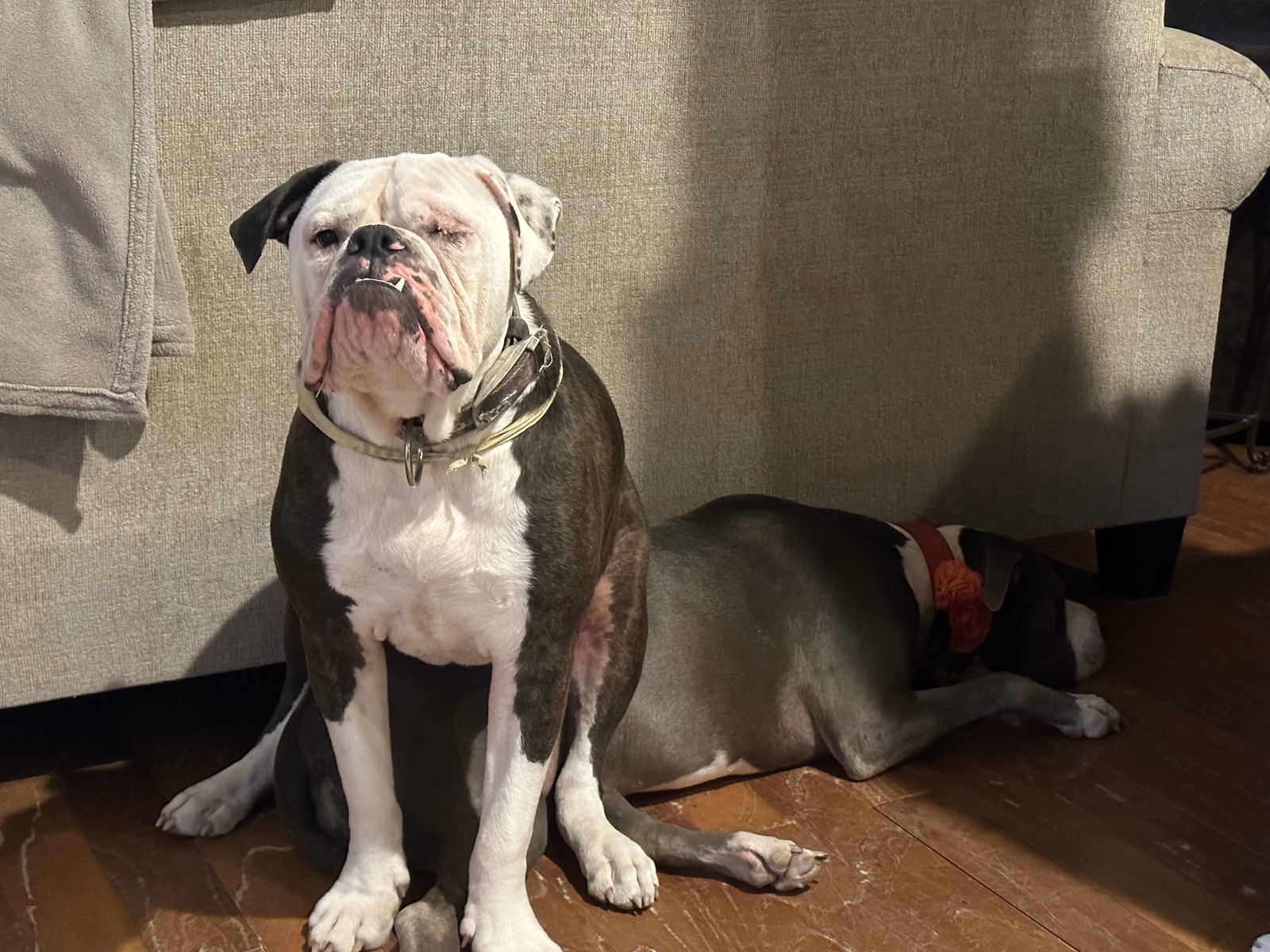 Winston