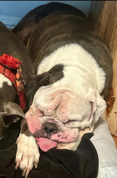 Winston