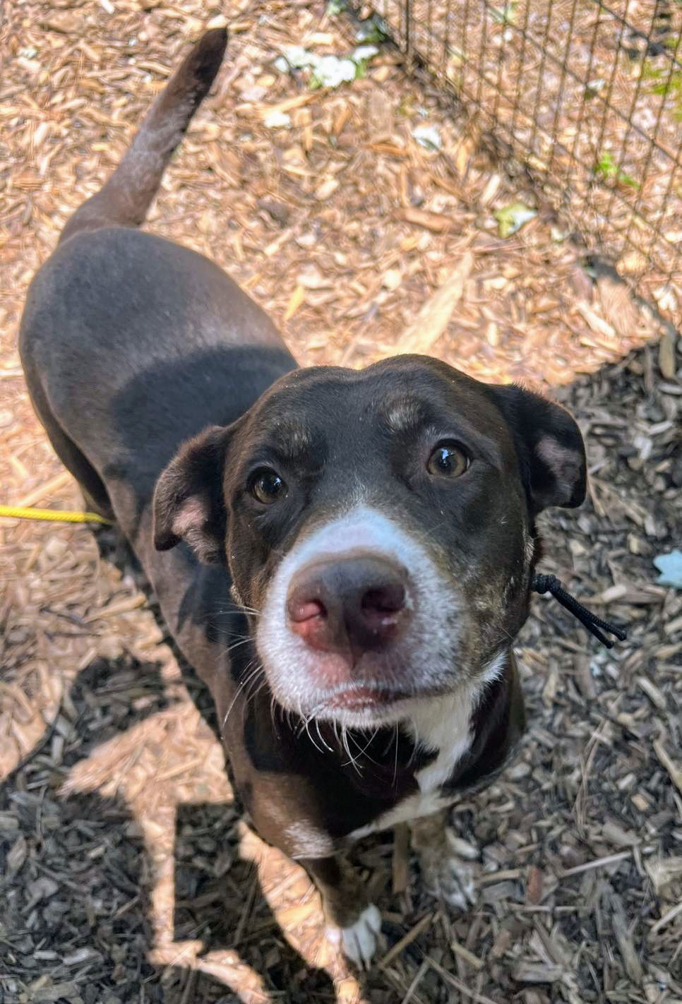 Ellie