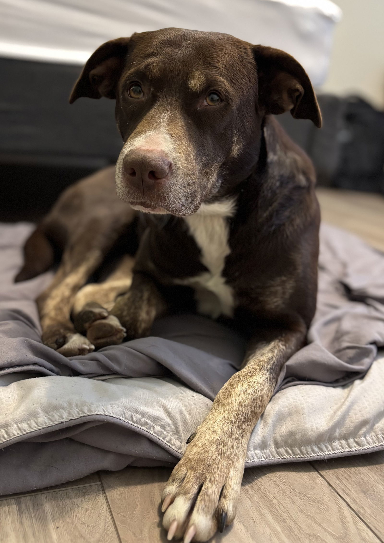 Ellie