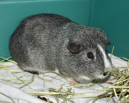 TRUFFLE