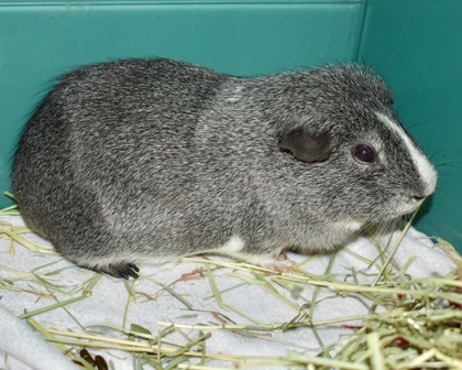 TRUFFLE