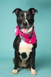 Mavis photo 3