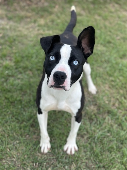 Nina