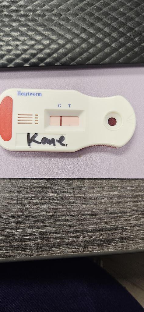 Kane