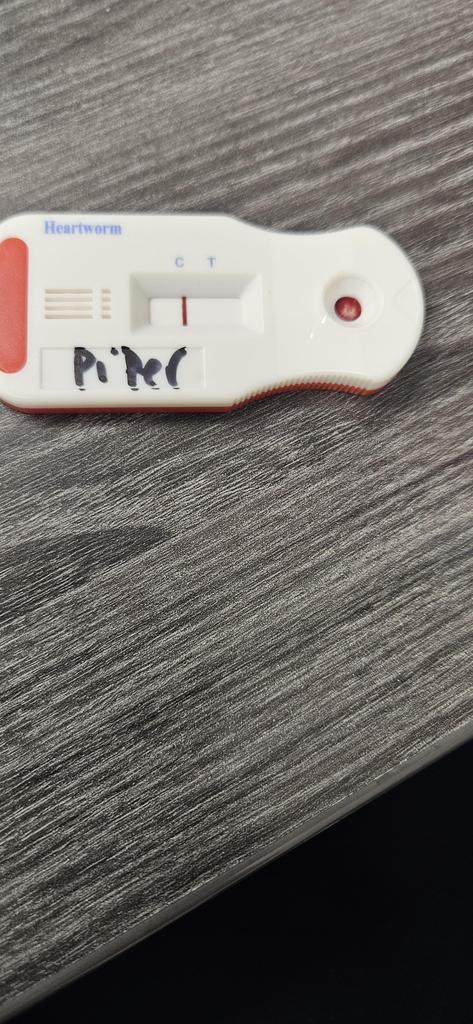 Piper