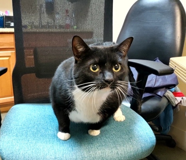 Luna