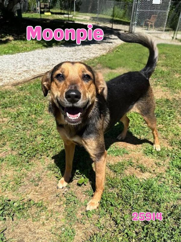 Moonpie