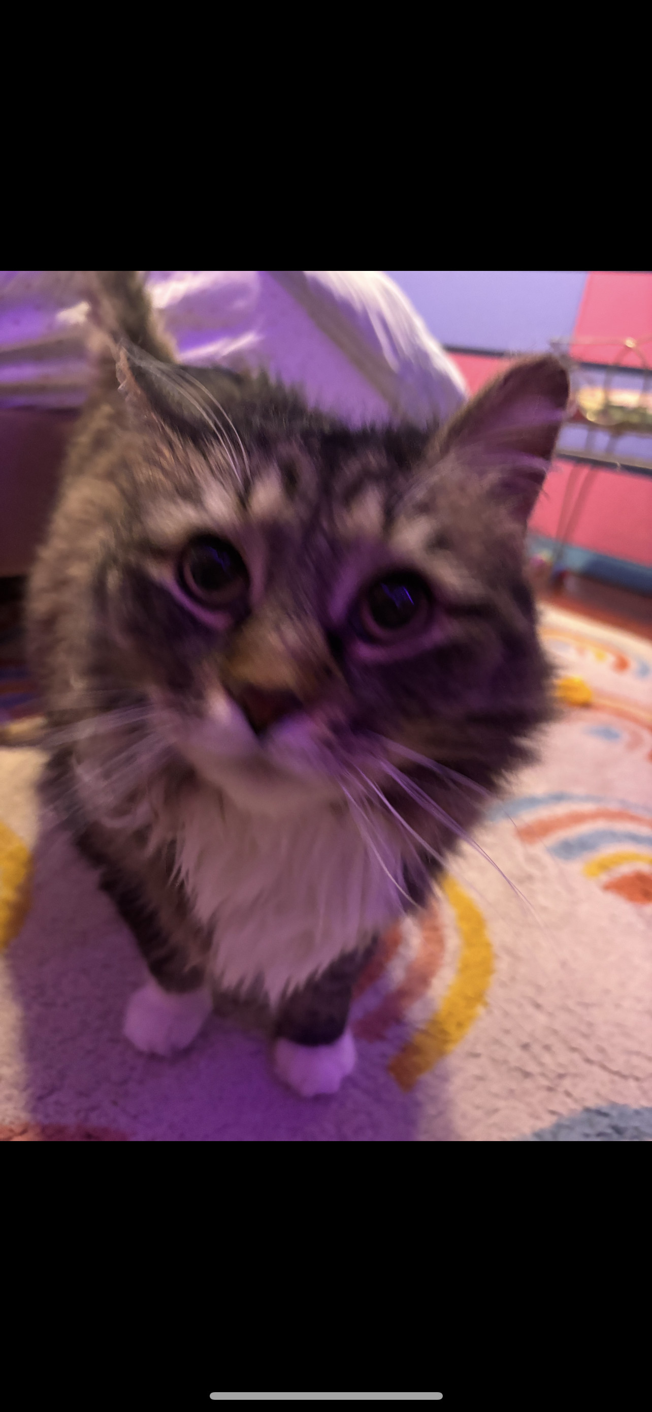 Pixie