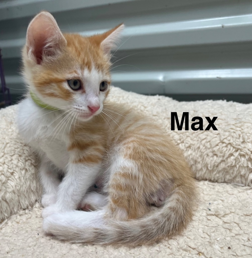 Max - 2