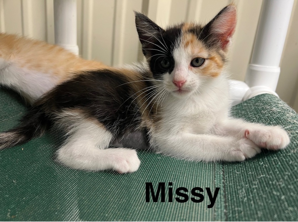 Missy