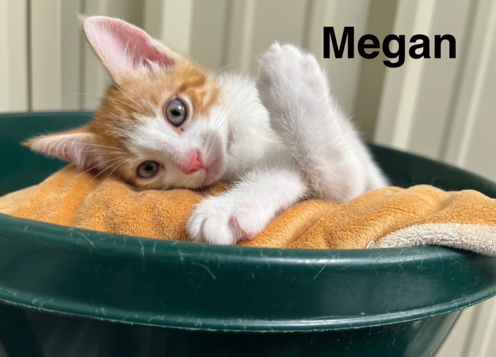Megan