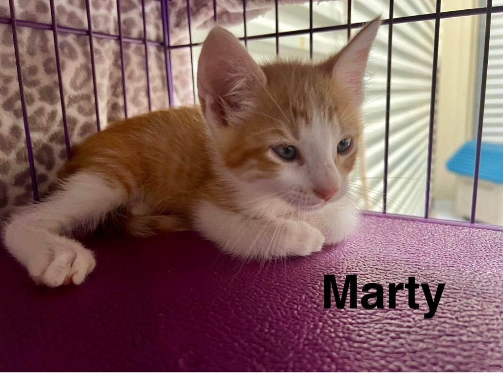Marty