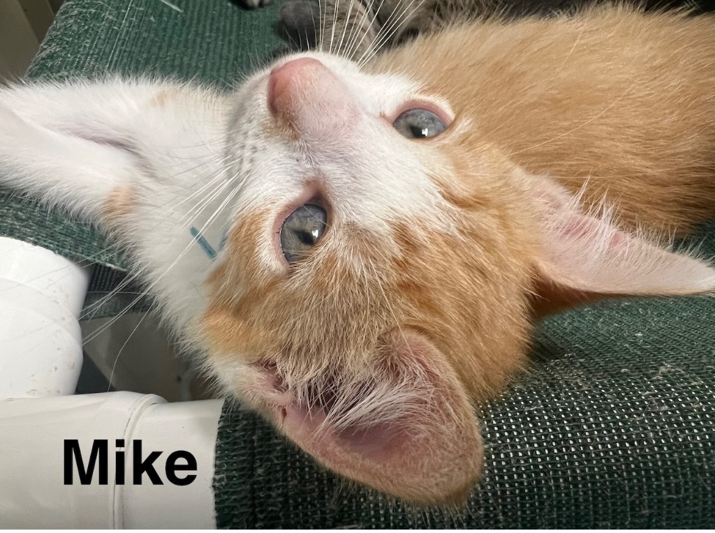 Mike