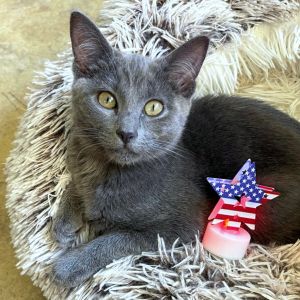 Hi Im Meadow Im a curious adventurous little explorer whos always ready to see whats around t