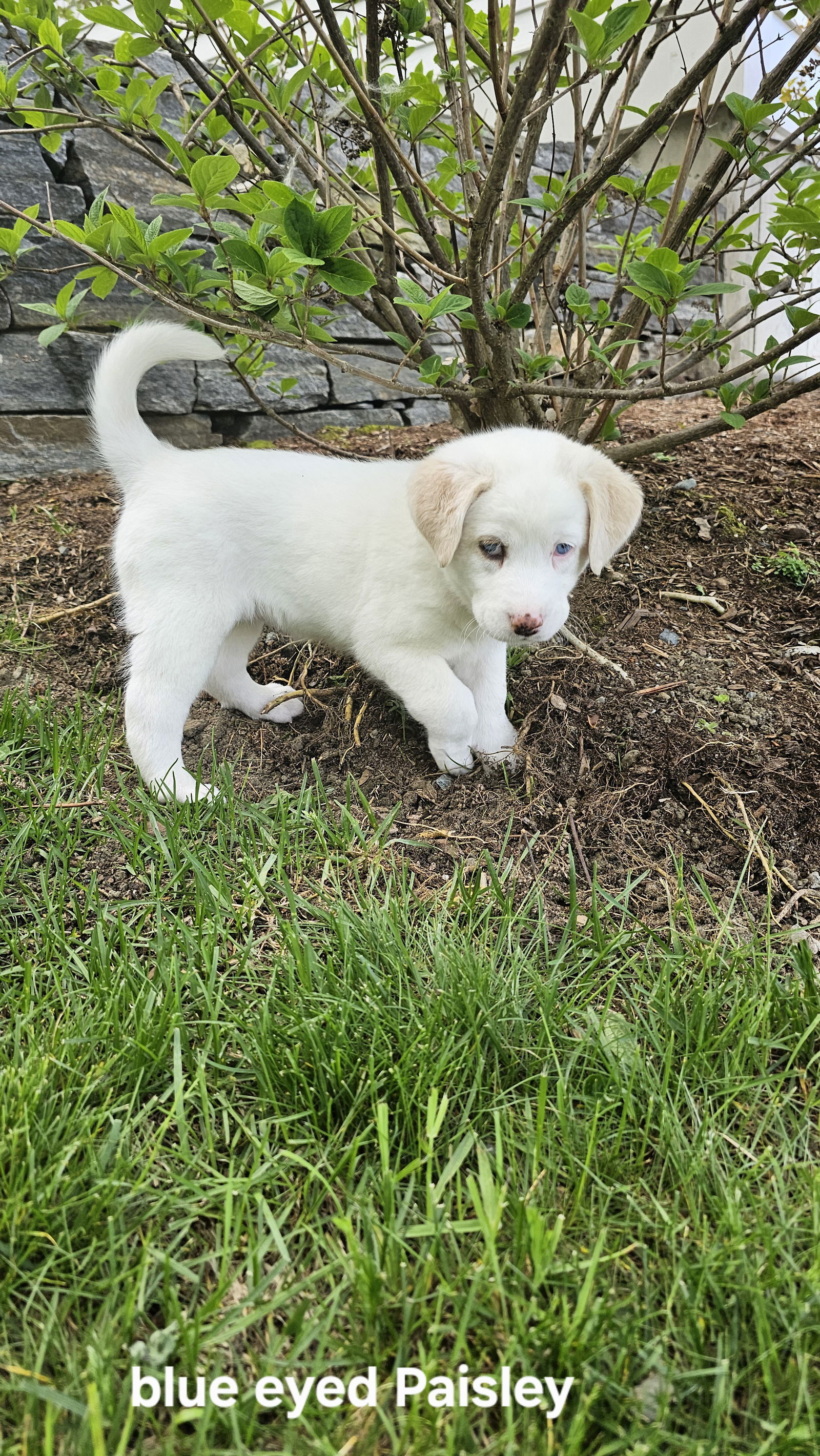 Cassie available 6/4
