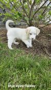 Cassie available 6/4 photo 1