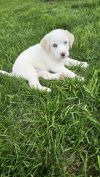 Cassie available 6/4 photo 2