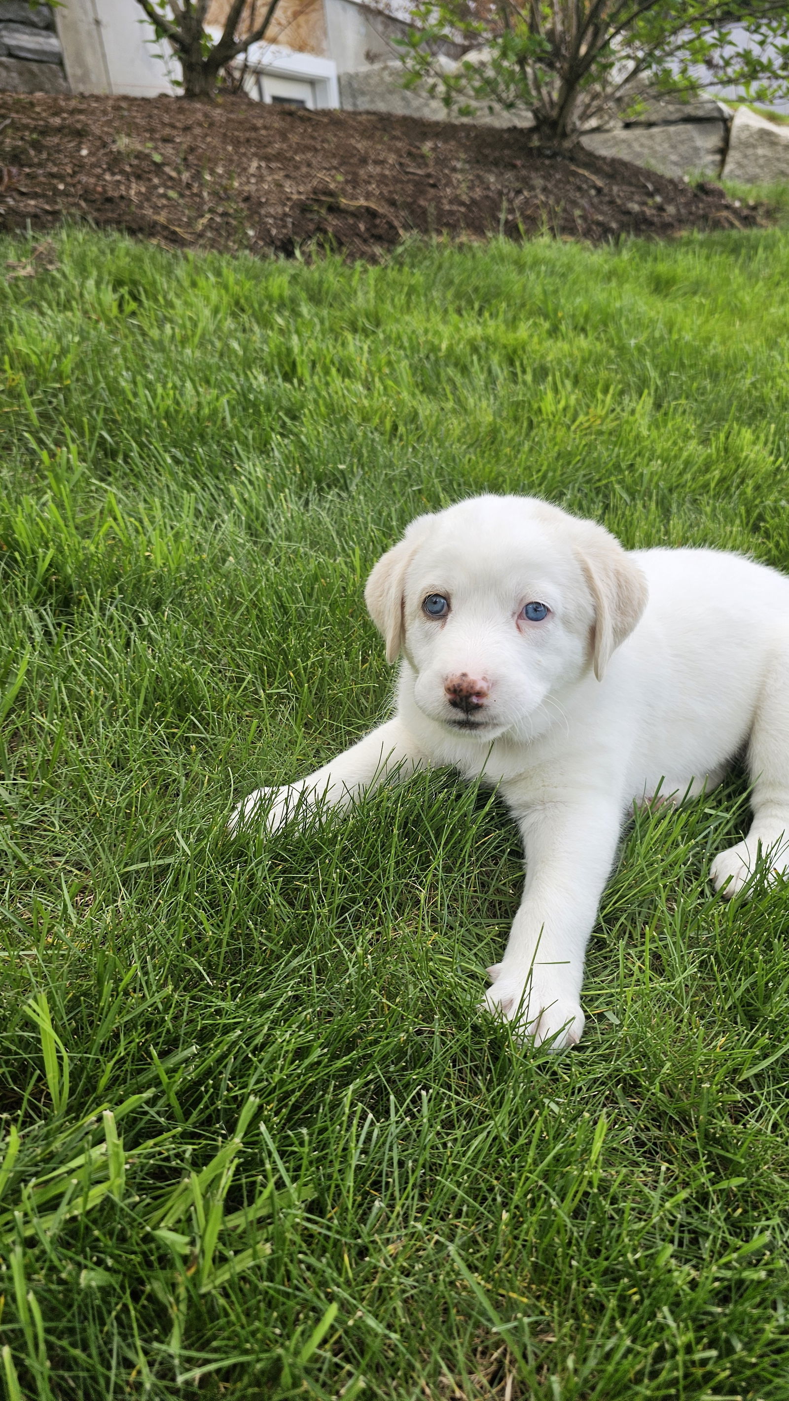 Cassie available 6/4