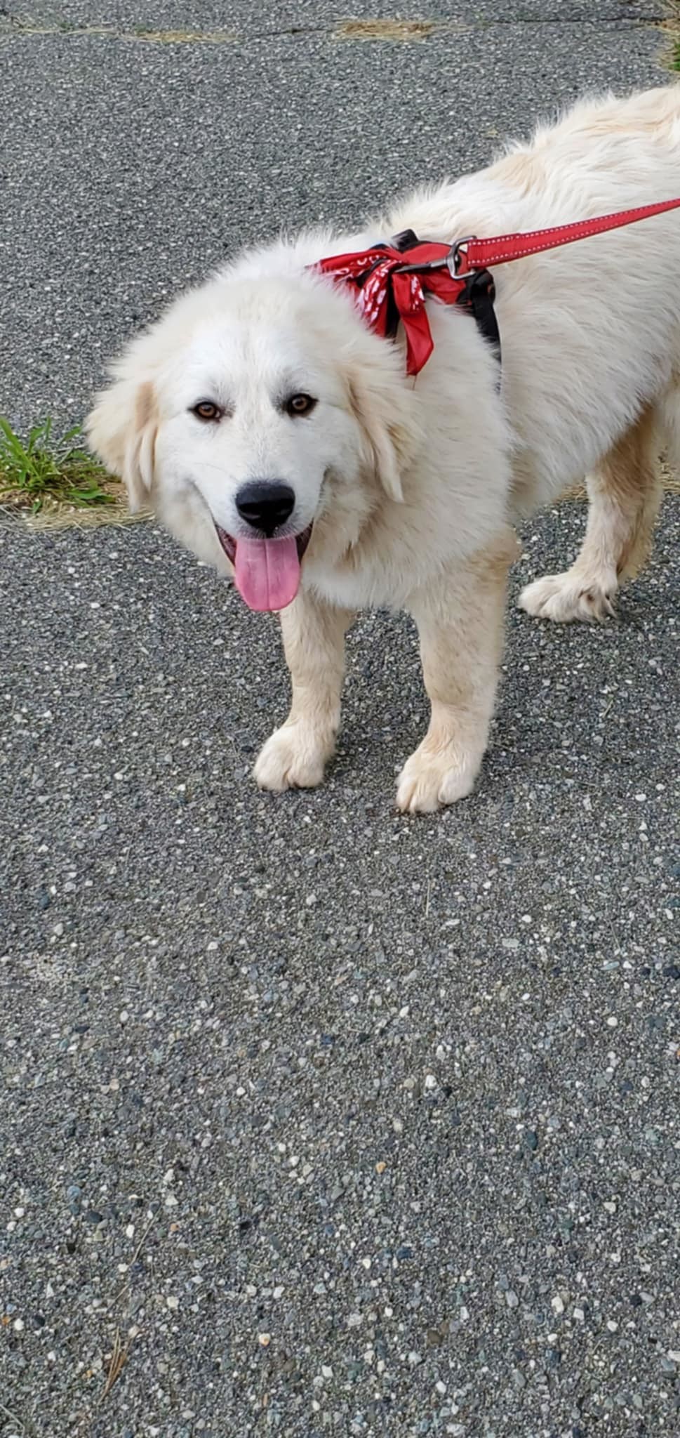 Sneezy