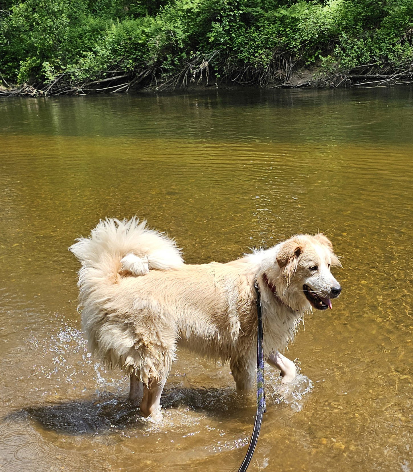 Conley in VT