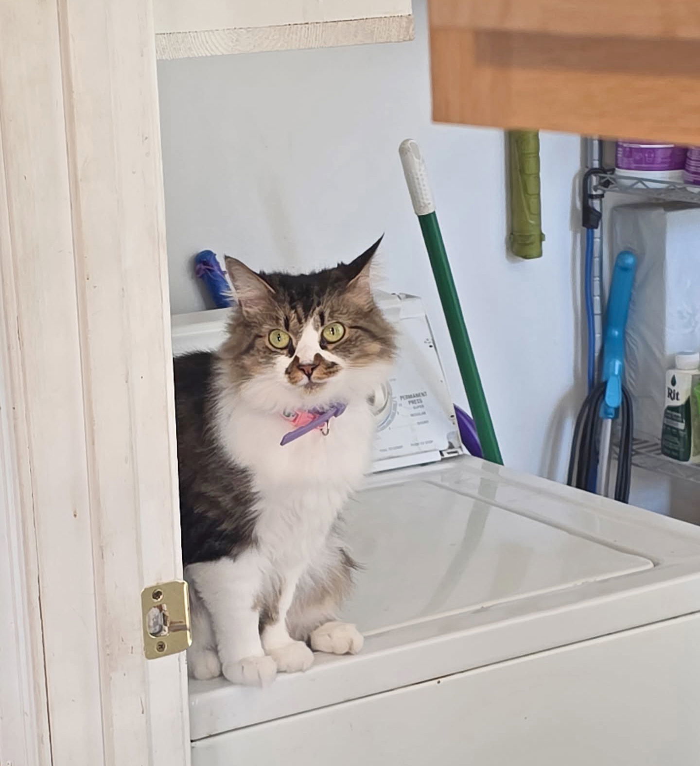 *Smudge