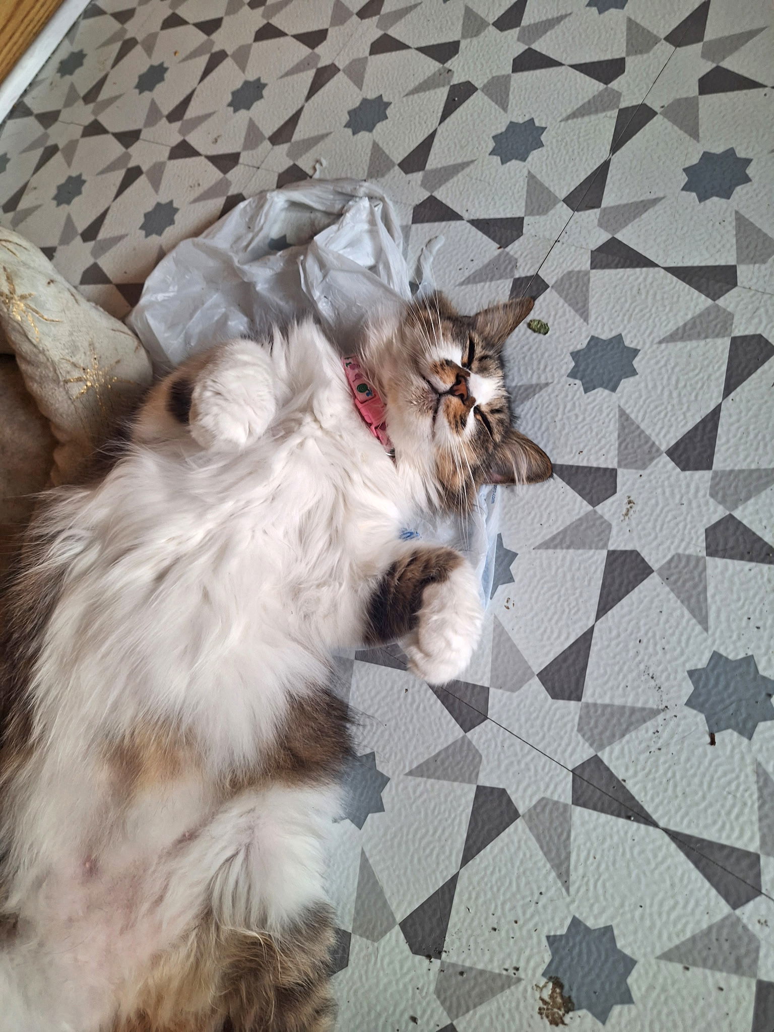 *Smudge