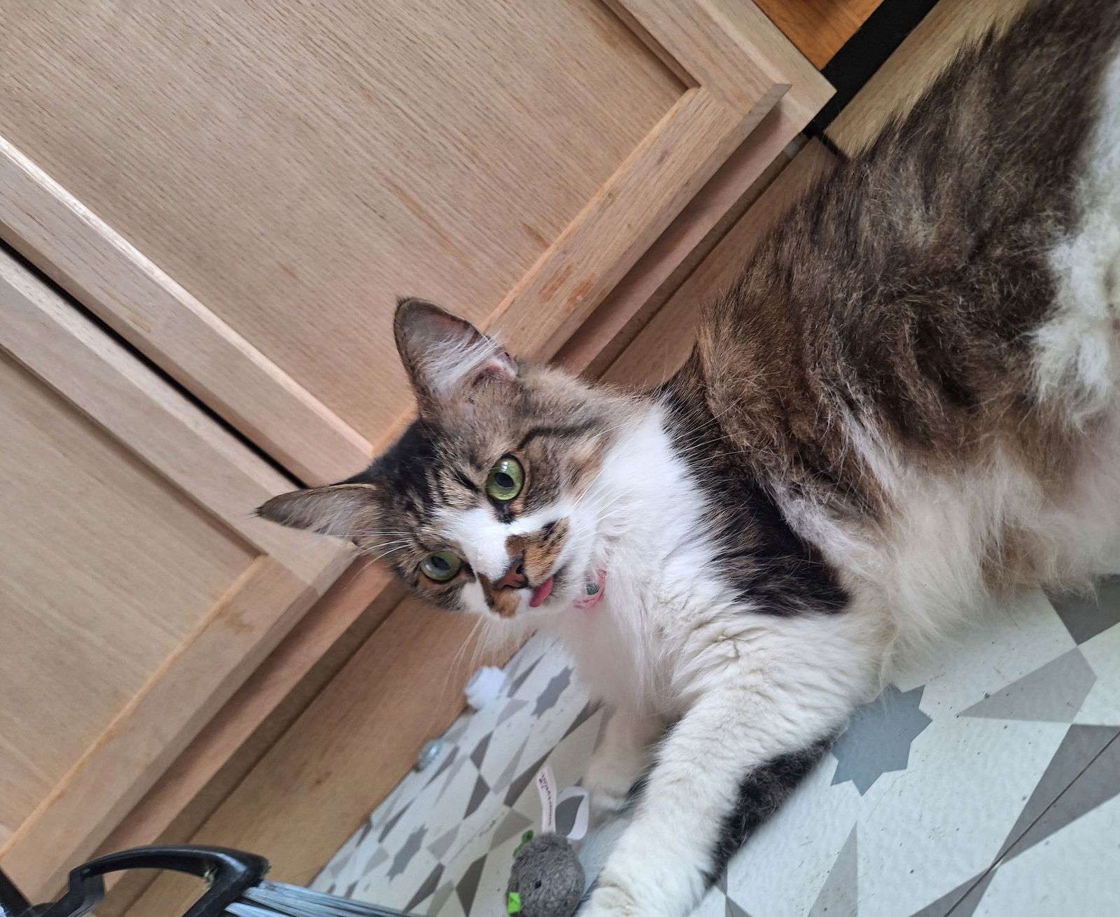 *Smudge