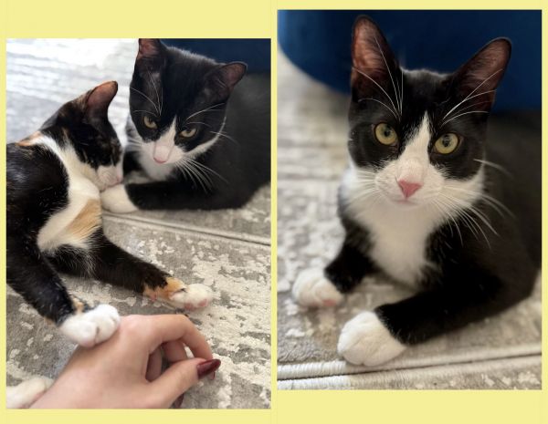Fiona &amp; Finn thumbnail 3
