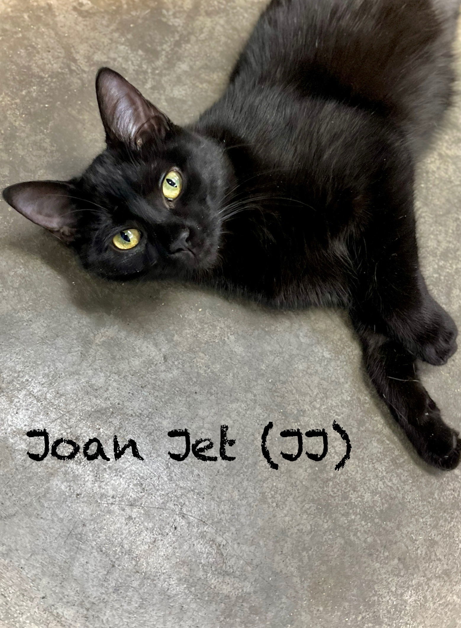 Joan Jet (JJ)