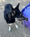 Glenda photo 3