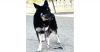 Glenda photo 5