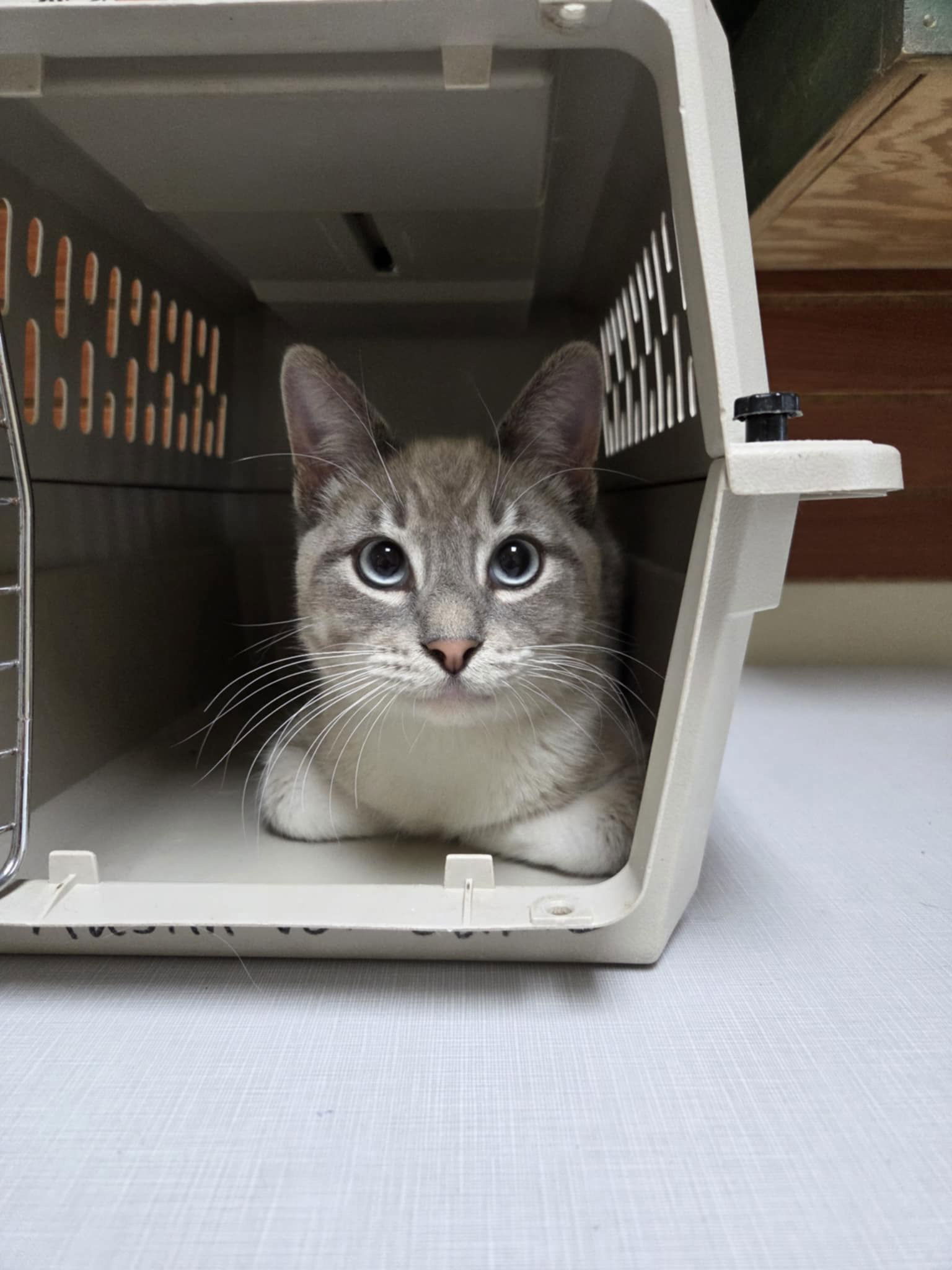 Catrick Swayze
