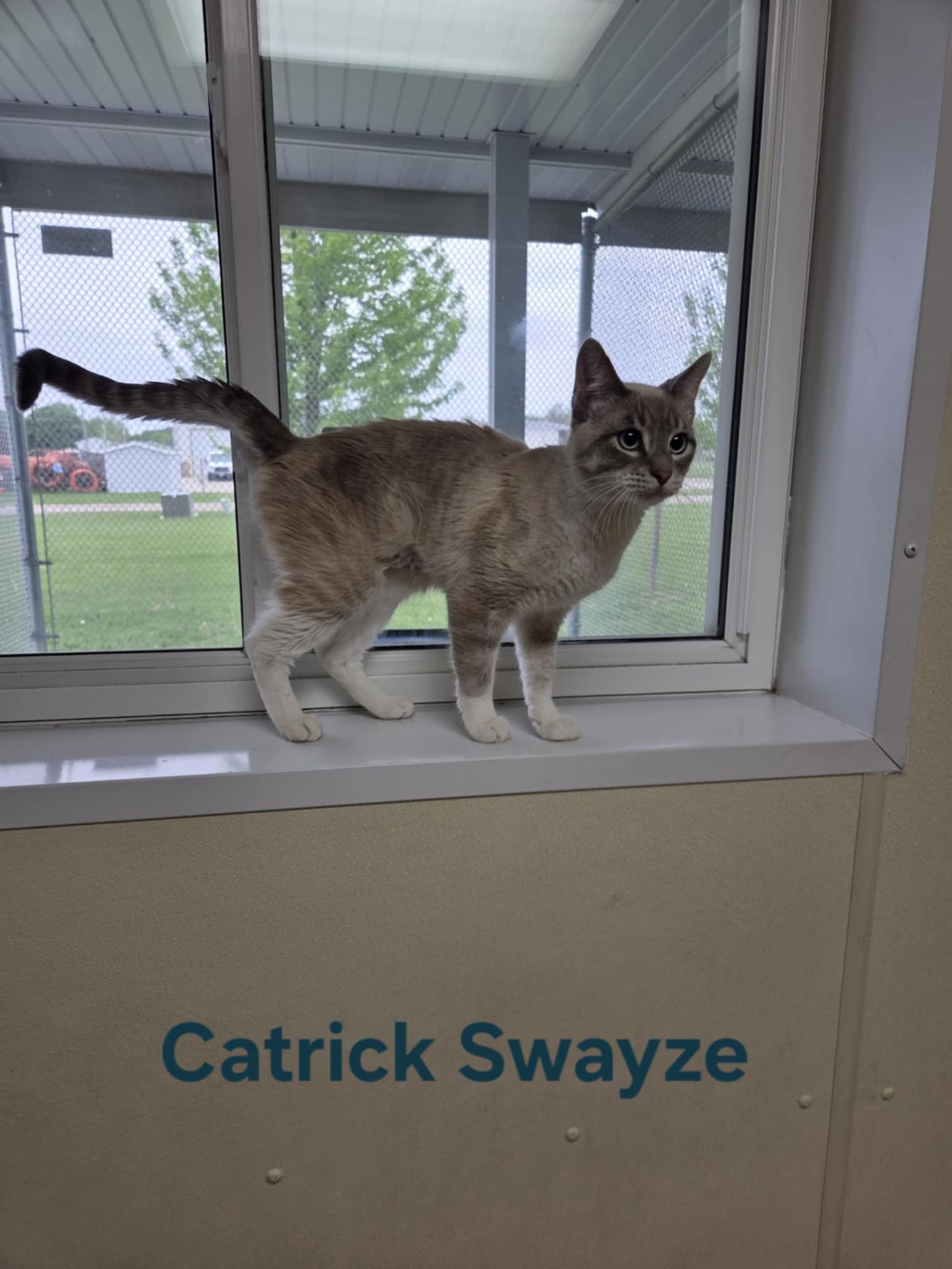 Catrick Swayze
