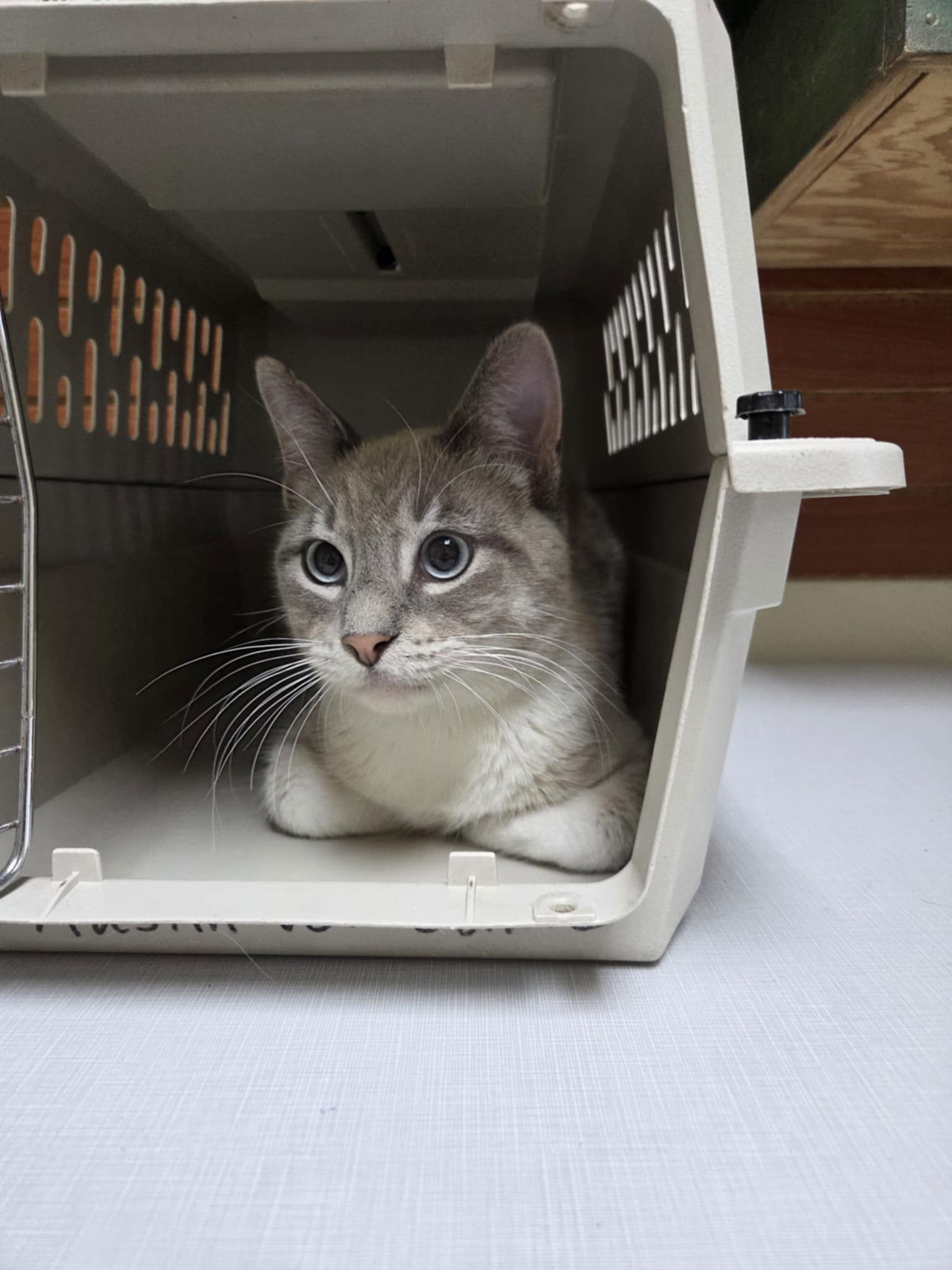 Catrick Swayze
