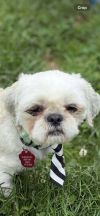 Bernie photo 3
