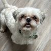 Bernie photo 5