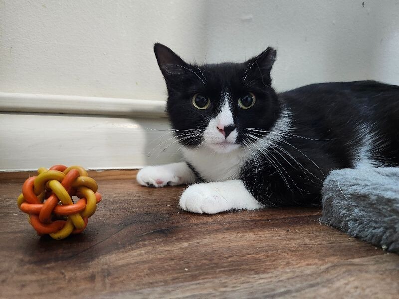Smudge