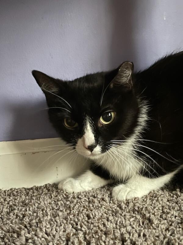 Smudge