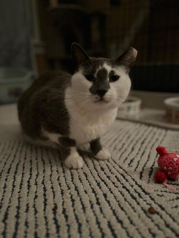 Sebastian photo 1