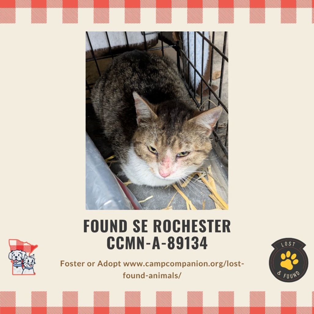 Found SE Rochester