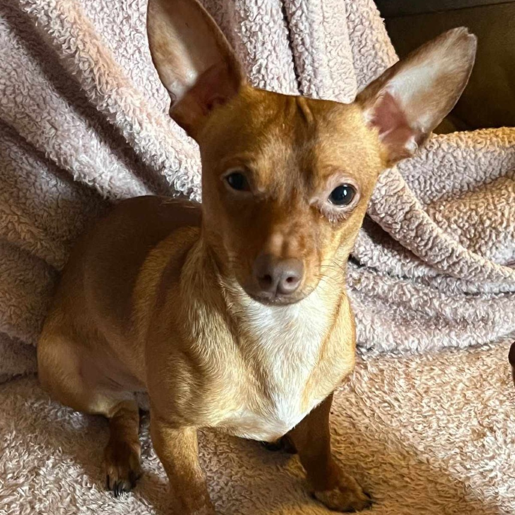 Milo