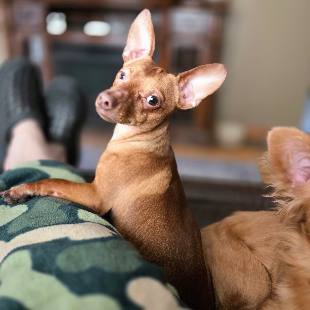 Milo