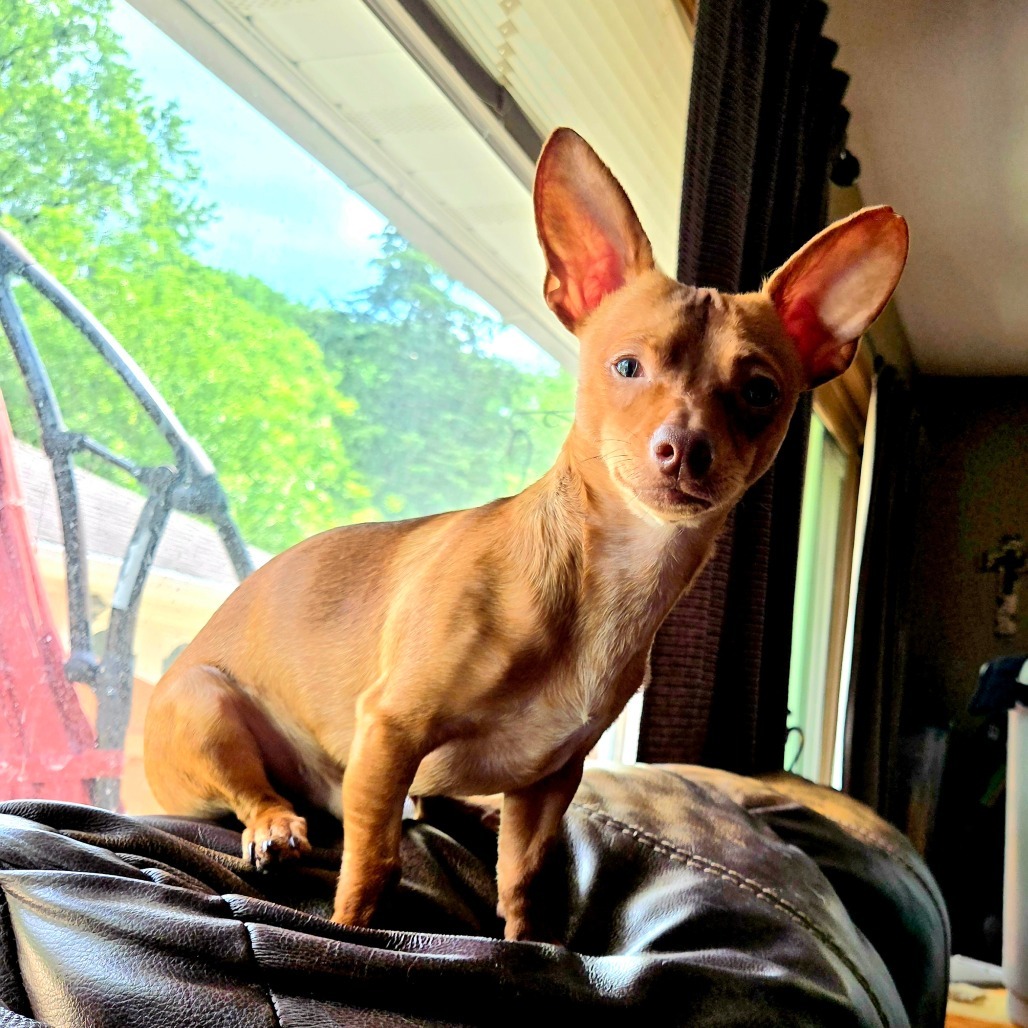 Milo